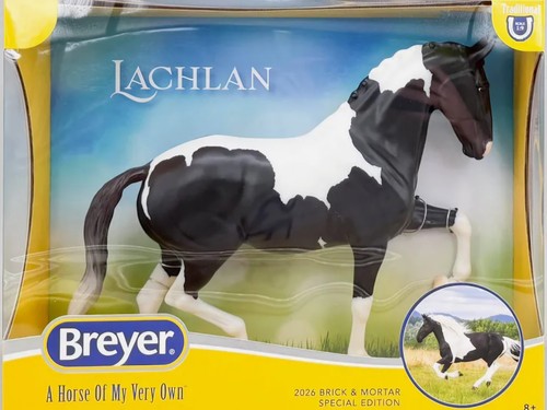Breyer lachlan special - lachlan,