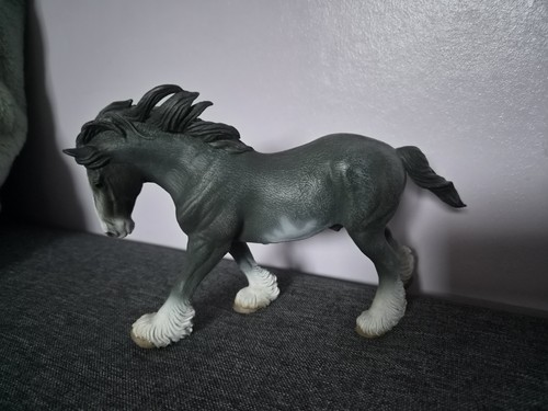 Clydesdale grey stallion - stallion, horse