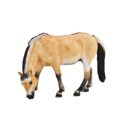 Mojo fun fjord mare - fjord, figure