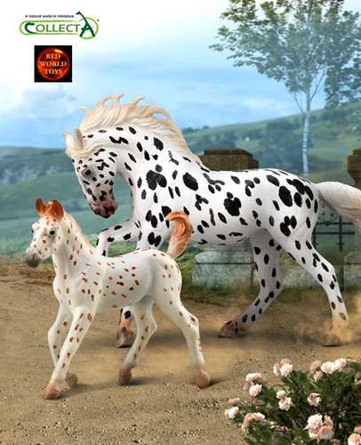Knabstrupper spotted horse - spotted,