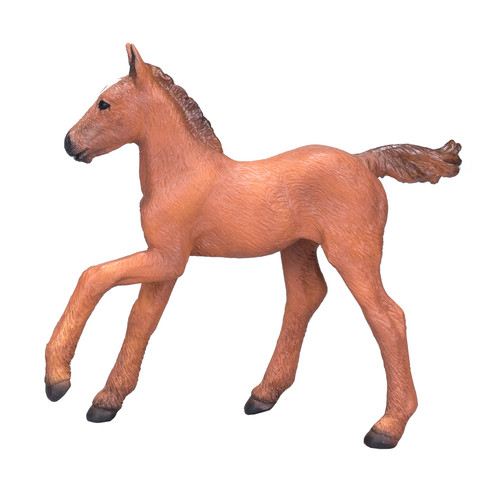 Mojo fun arabian foal chestnut - fun,