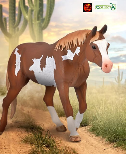 American paint horse - paint,
