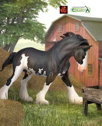 Clydesdale stallion black and - clydesdale,