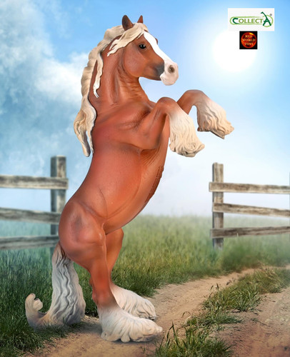 Gypsy vanner mare - gypsy,