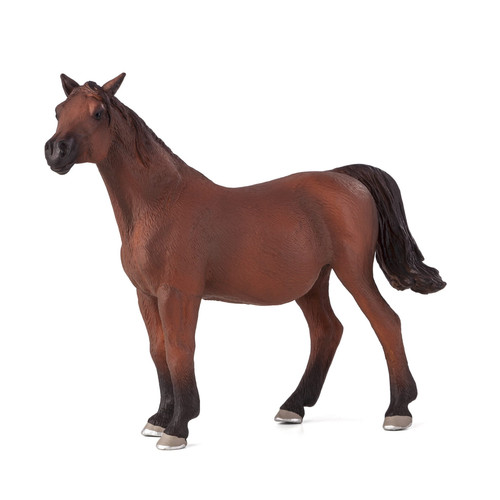Mojo fun arabian mare foal - fun,