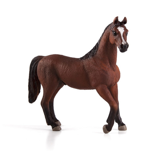 Mojo fun arabian stallion - mojo,