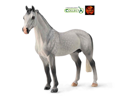 Hanoverian stallion dappled - hanoverian,