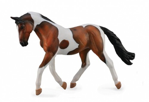 Pinto skewbald bay mare horse - mare,