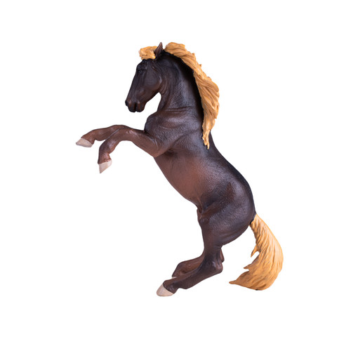 Mojo fun brumby stallion - mojo,